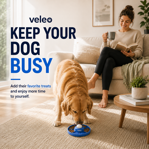 Veleo BusyBowl