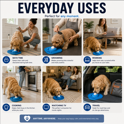 Veleo BusyBowl