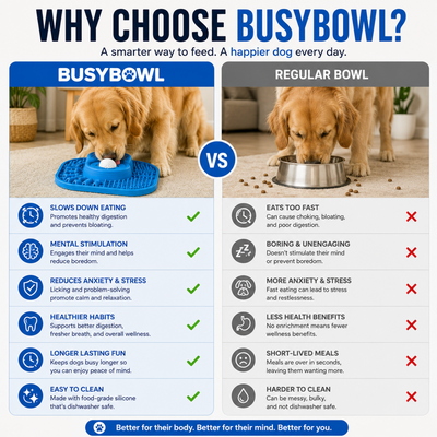 Veleo BusyBowl