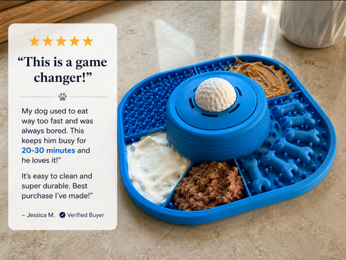 Veleo BusyBowl